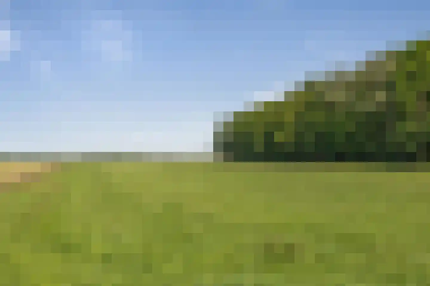 Gasselterstraat 3 Bronnegerveen thumbnail 25