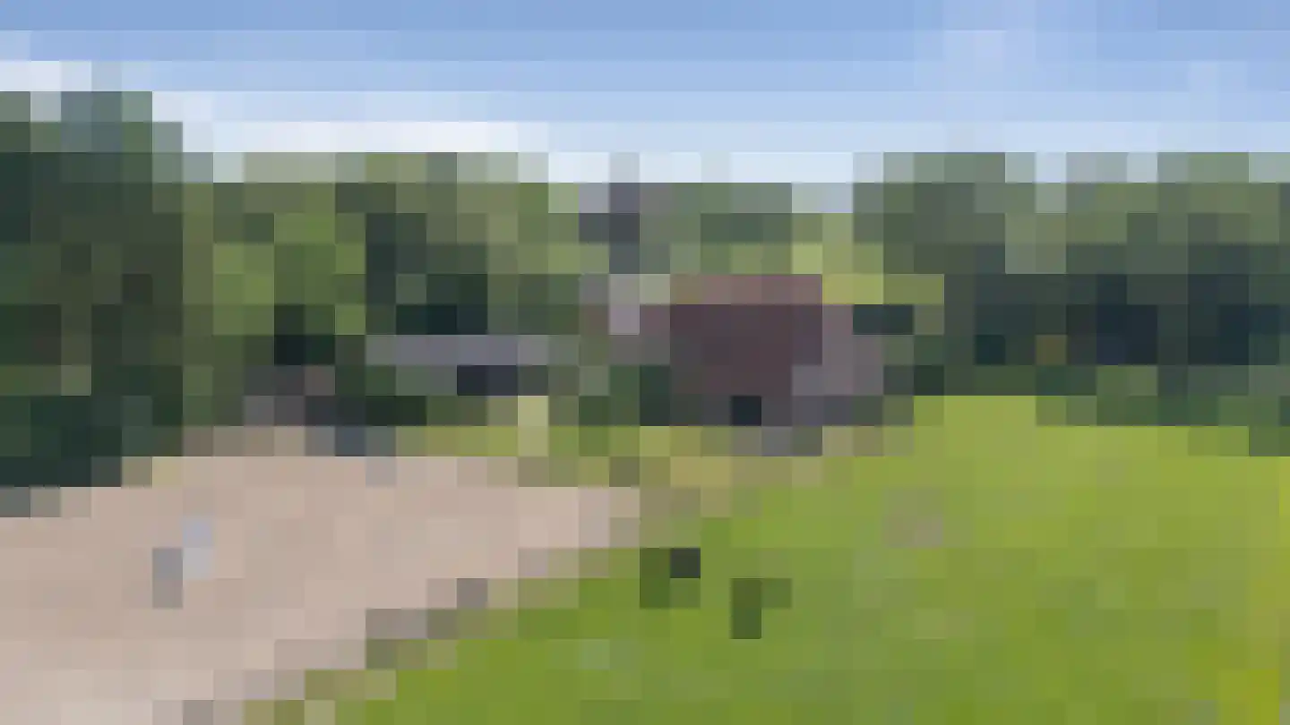 Gasselterstraat 3 Bronnegerveen thumbnail 30