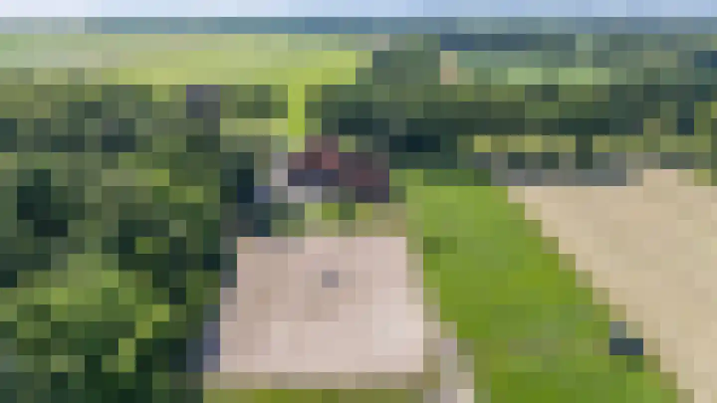 Gasselterstraat 3 Bronnegerveen thumbnail 31