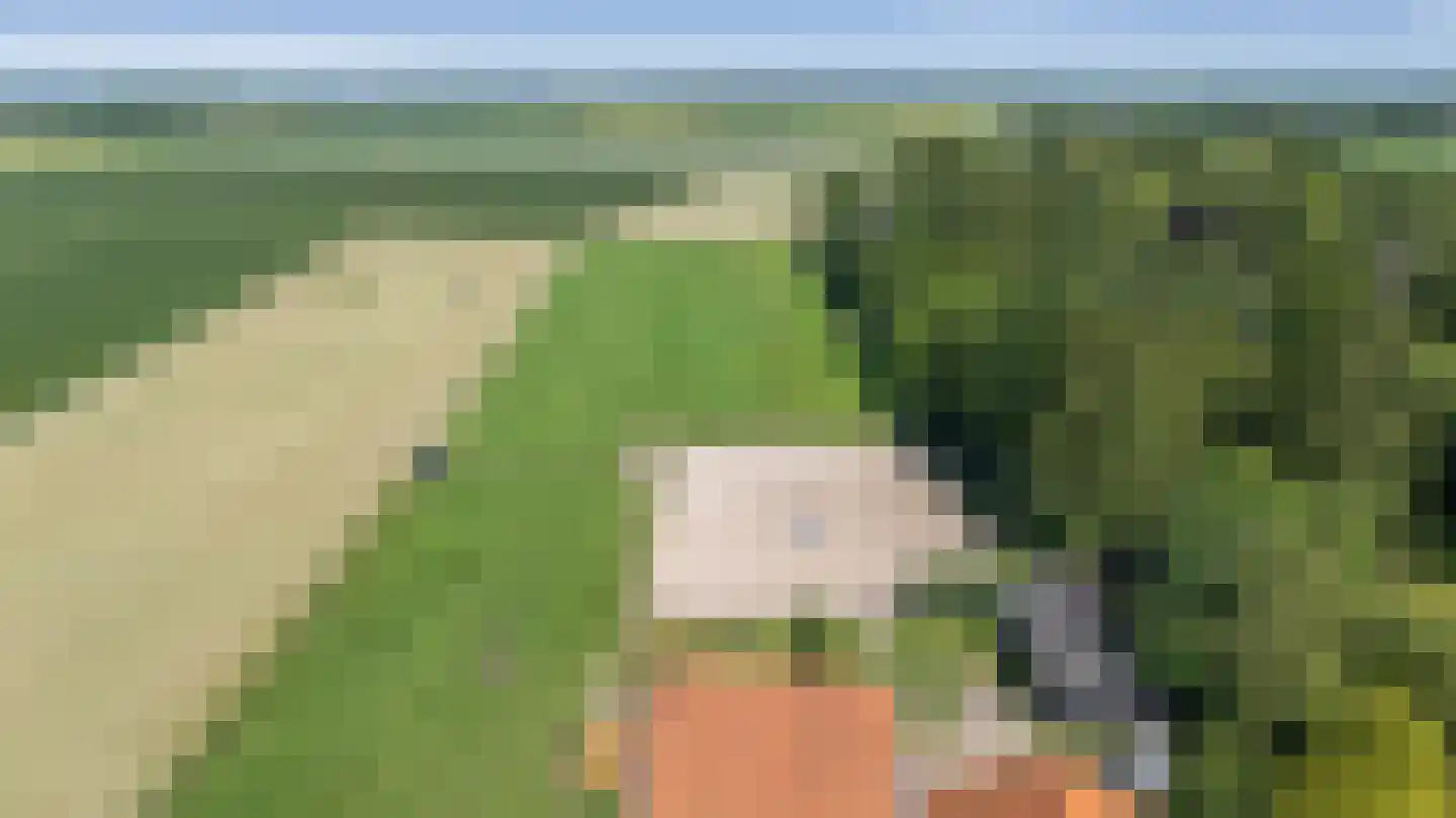 Gasselterstraat 3 Bronnegerveen thumbnail 33