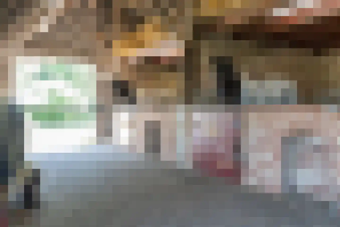 Gasselterstraat 3 Bronnegerveen thumbnail 36