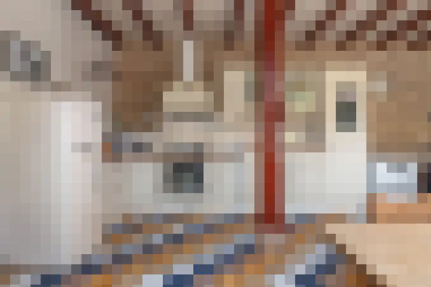 Gasselterstraat 3 Bronnegerveen thumbnail 56