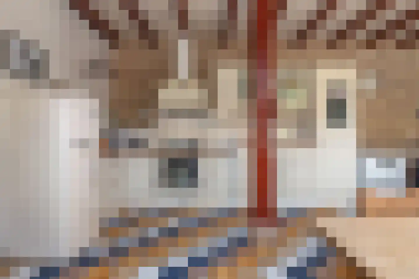 Gasselterstraat 3 Bronnegerveen thumbnail 57