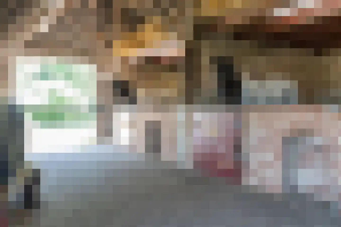 Gasselterstraat 3 Bronnegerveen thumbnail 70