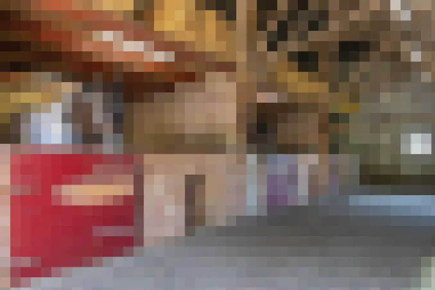 Gasselterstraat 3 Bronnegerveen thumbnail 71