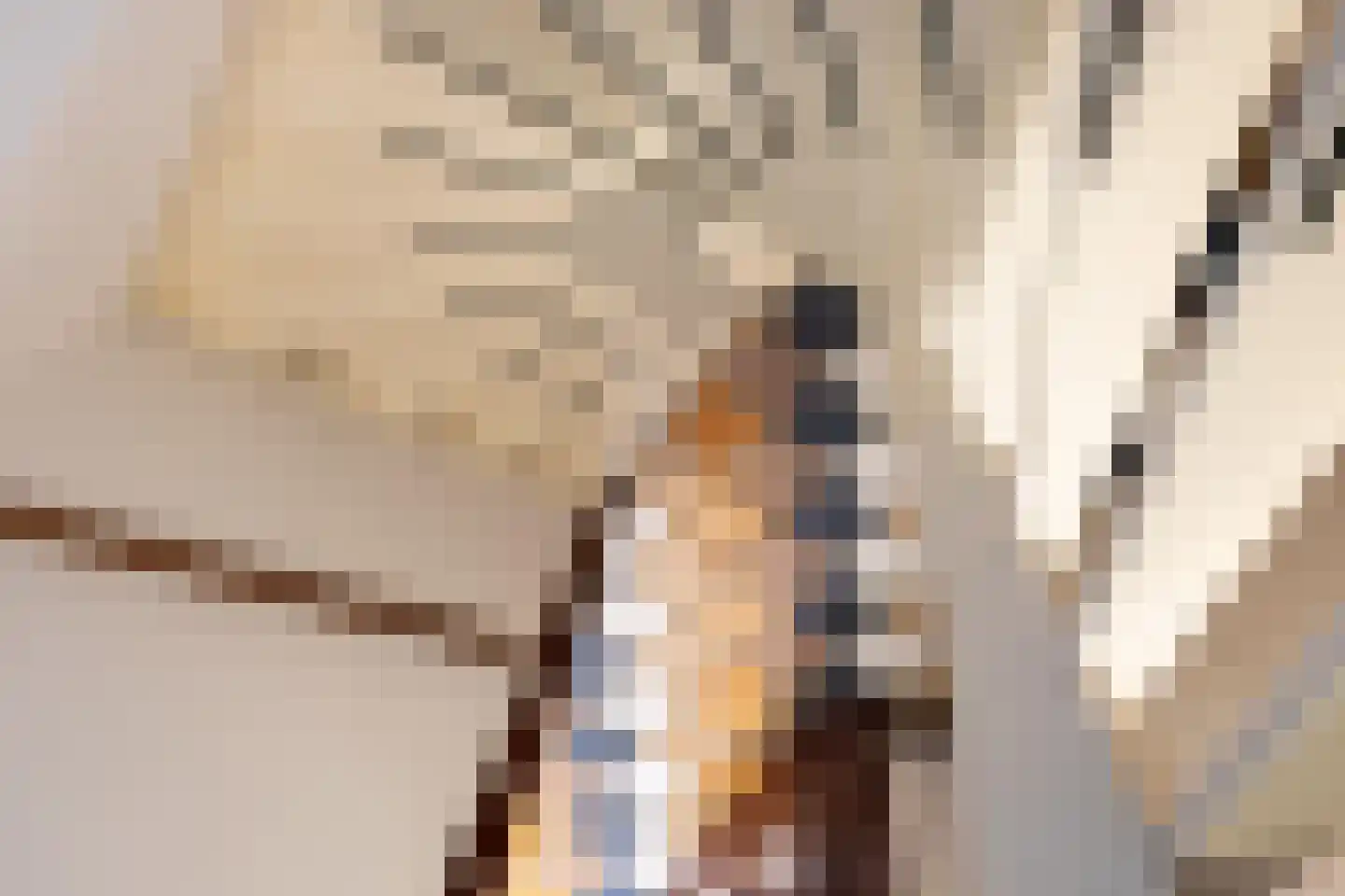 Gasselterstraat 3 Bronnegerveen thumbnail 73