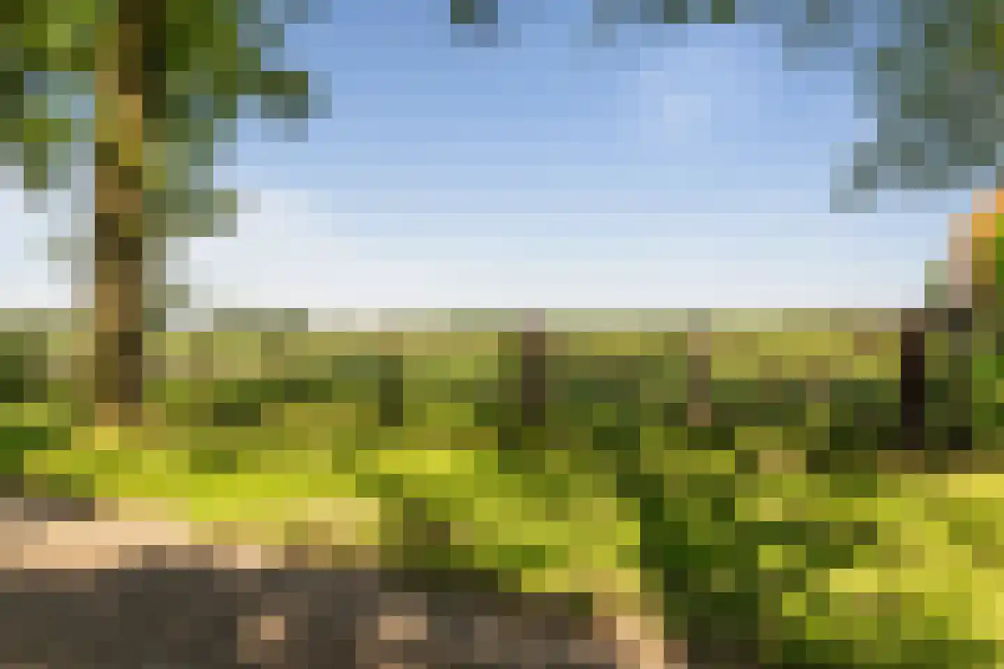 Gasselterstraat 3 Bronnegerveen thumbnail 9
