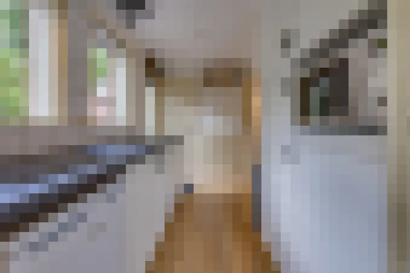 Gasselterstraat 7 008 Drouwen thumbnail 7