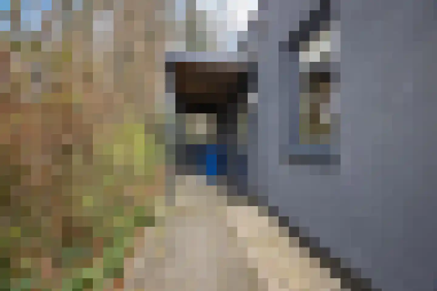 Gasselterstraat 7 047 Drouwen thumbnail 5