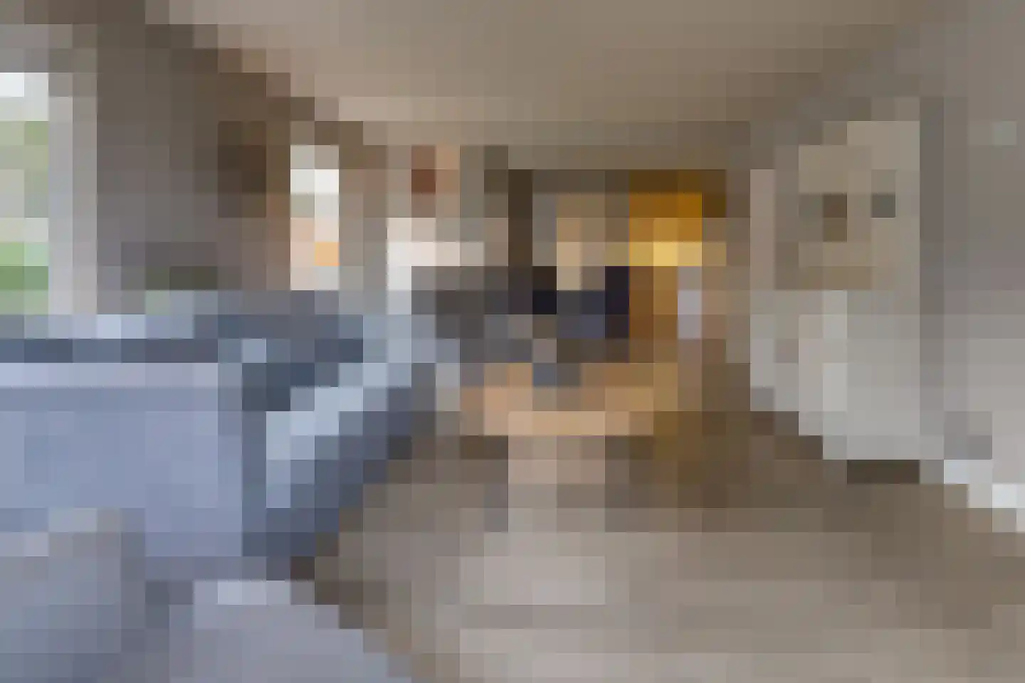 Gasselterstraat 7 096 Drouwen thumbnail 6