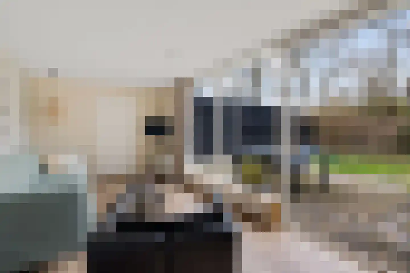 Gasselterstraat 7 125 Drouwen thumbnail 9