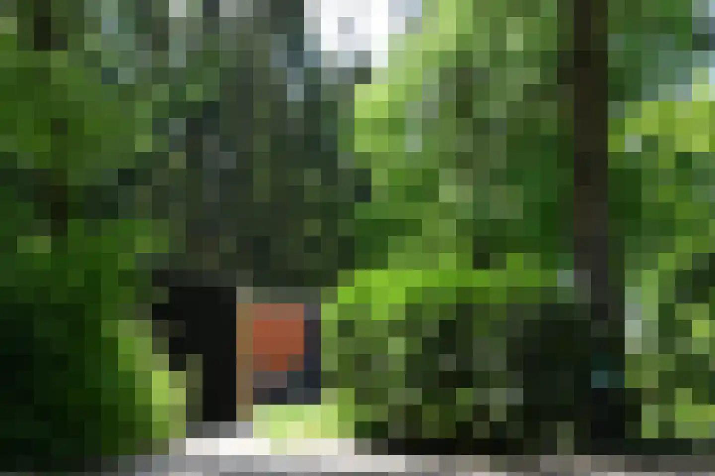 Gasselterstraat 7 126 Drouwen thumbnail 19