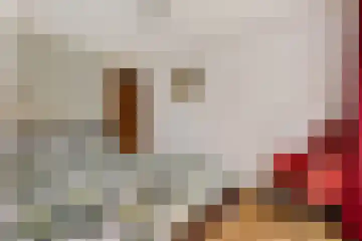Gasselterstraat 7 149 Drouwen thumbnail 7