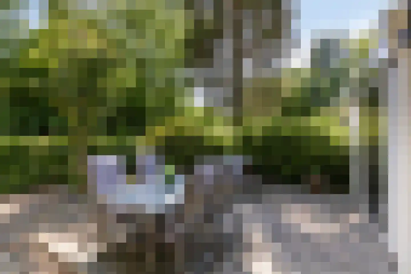 Gasselterstraat 7 153 Drouwen thumbnail 25