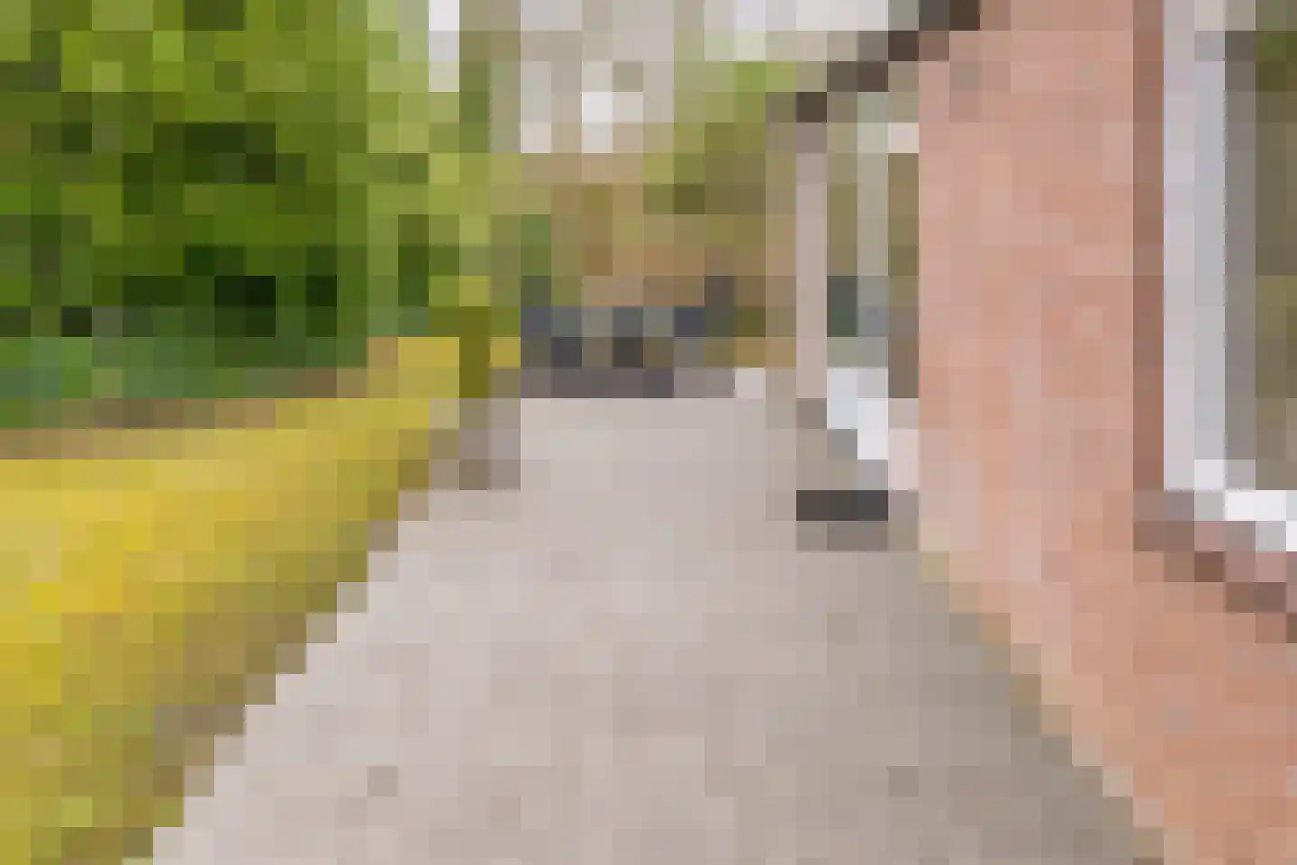 Gasselterstraat 7 167 Drouwen thumbnail 5