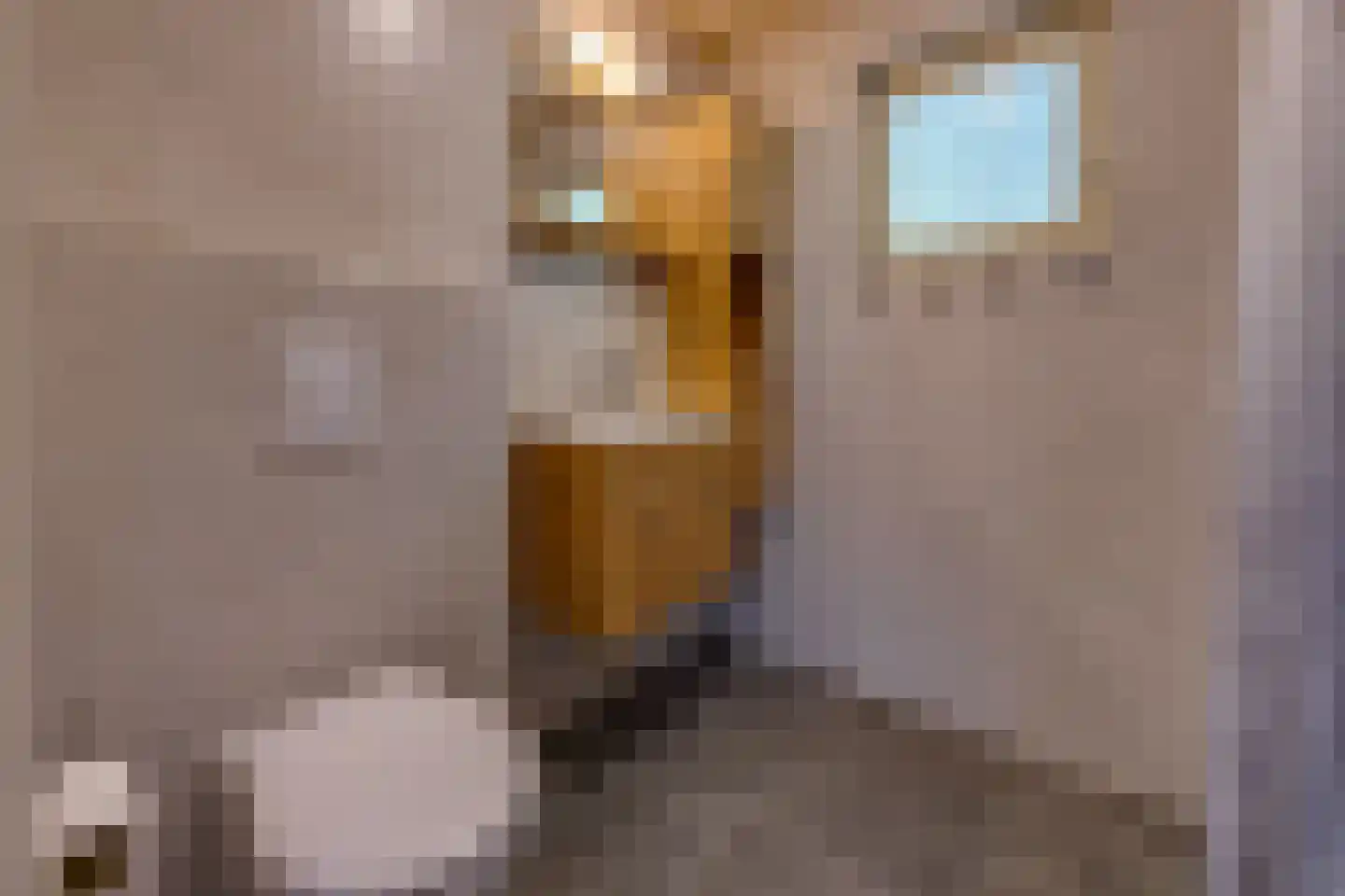 Gasselterstraat 7 177 Drouwen thumbnail 18