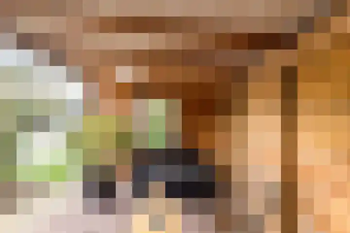Gasselterweg 10 Gieten thumbnail 17