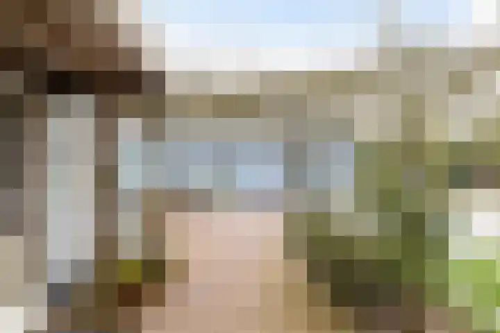 Gasselterweg 10 Gieten thumbnail 18