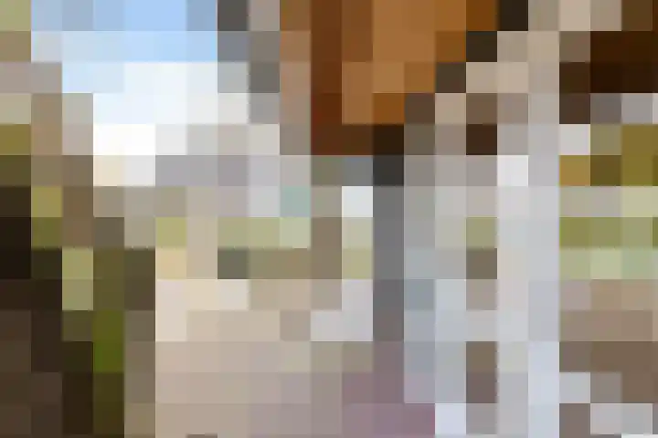Gasselterweg 10 Gieten thumbnail 21