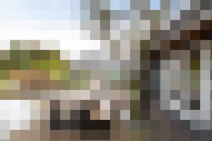 Gasselterweg 10 Gieten thumbnail 22