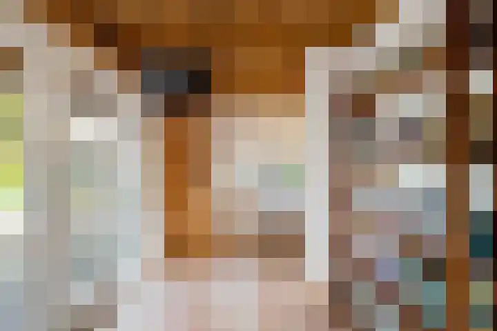Gasselterweg 10 Gieten thumbnail 28