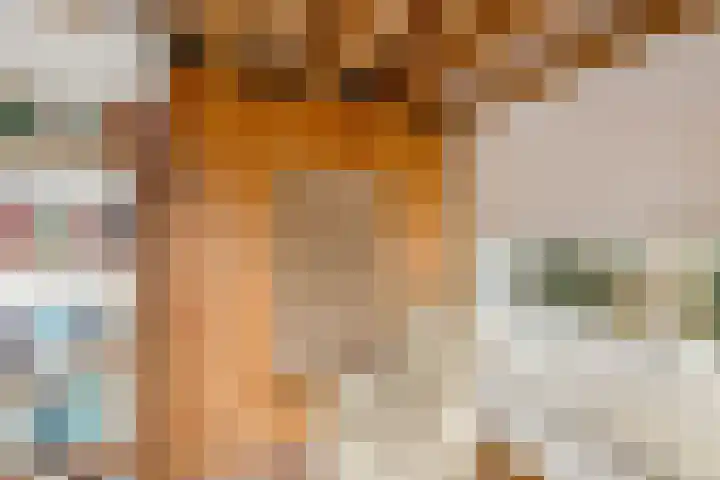 Gasselterweg 10 Gieten thumbnail 29