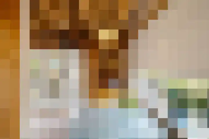 Gasselterweg 10 Gieten thumbnail 30