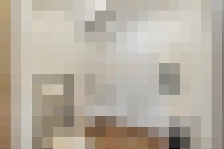 Gasselterweg 10 Gieten thumbnail 31