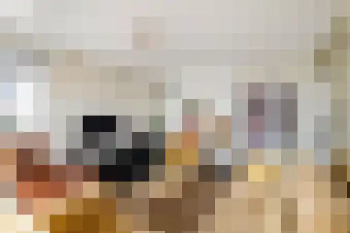 Gasselterweg 10 Gieten thumbnail 38
