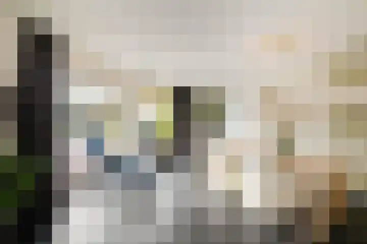Gasselterweg 10 Gieten thumbnail 41