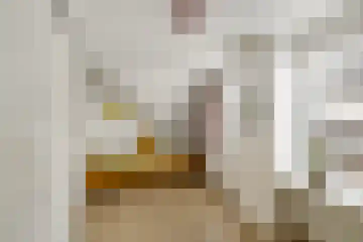 Gasselterweg 10 Gieten thumbnail 54