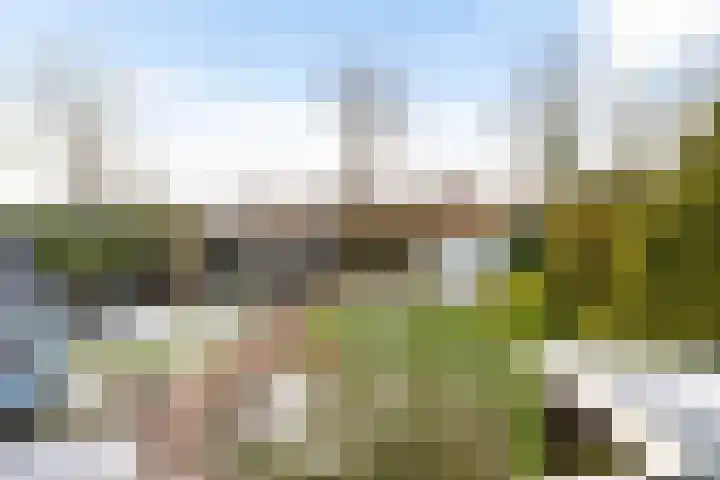 Gasselterweg 10 Gieten thumbnail 63
