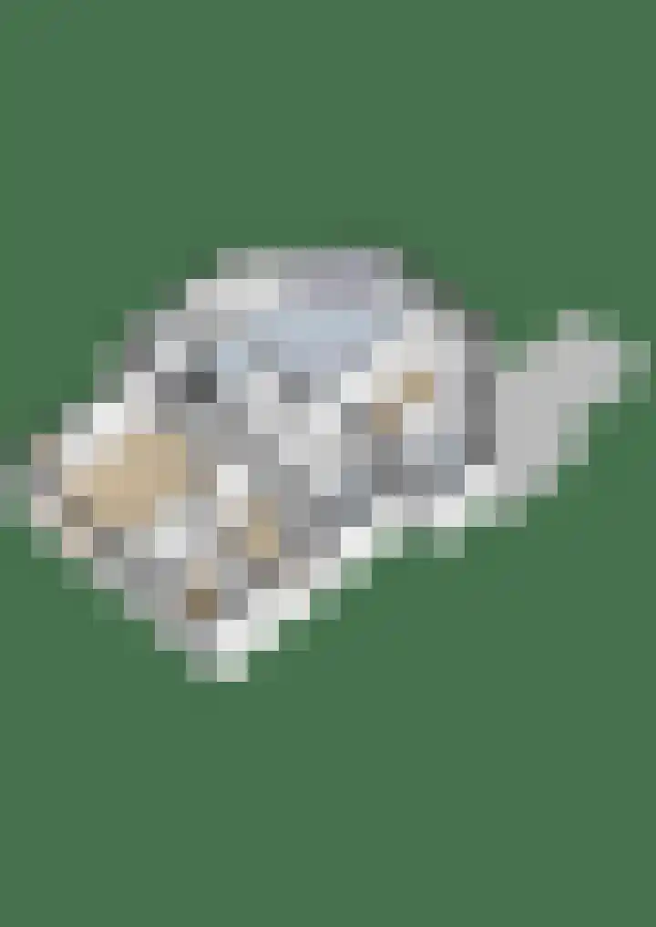 Gasselterweg 10 Gieten thumbnail 66