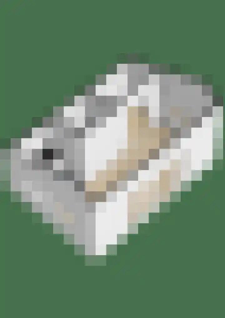 Gasselterweg 10 Gieten thumbnail 72