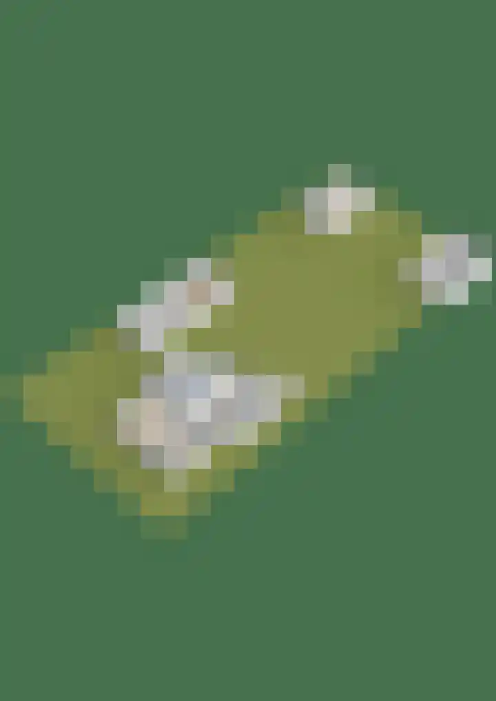Gasselterweg 10 Gieten thumbnail 80