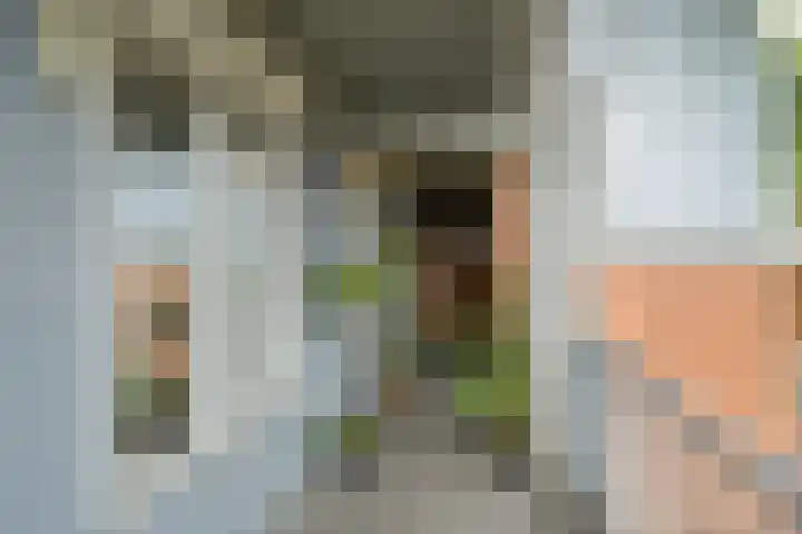 Gasstraat 1 A Oosterhout thumbnail 14