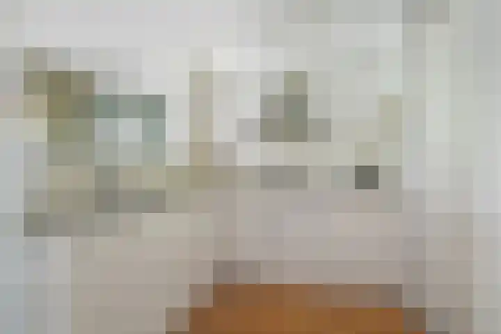Gasstraat 1 A Oosterhout thumbnail 33