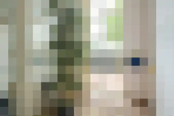 Gasstraat 1 A Oosterhout thumbnail 9