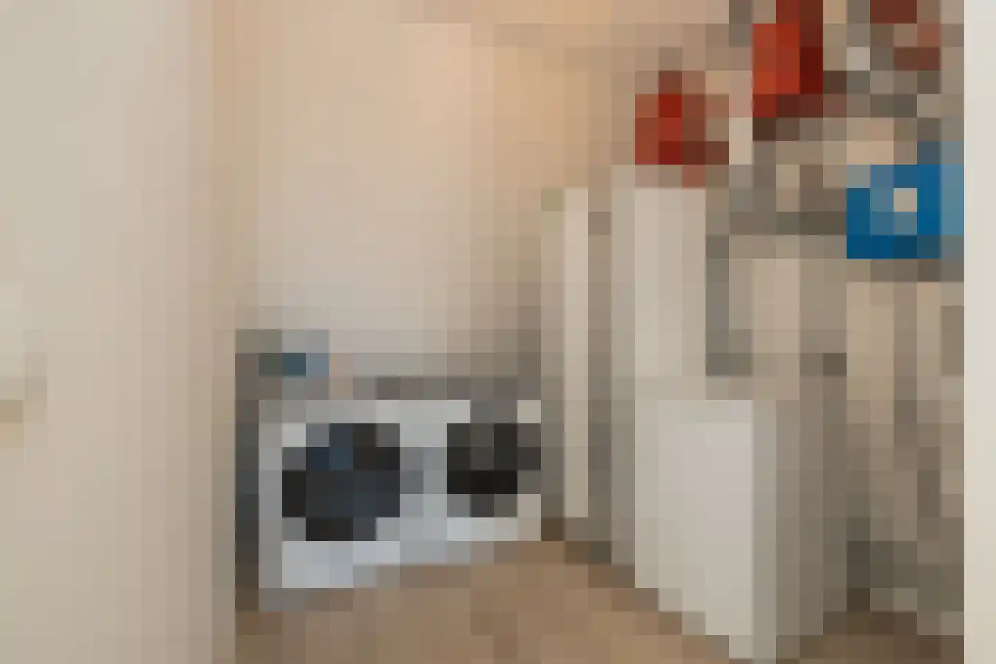 Gasstraat 15 C Lisse thumbnail 35
