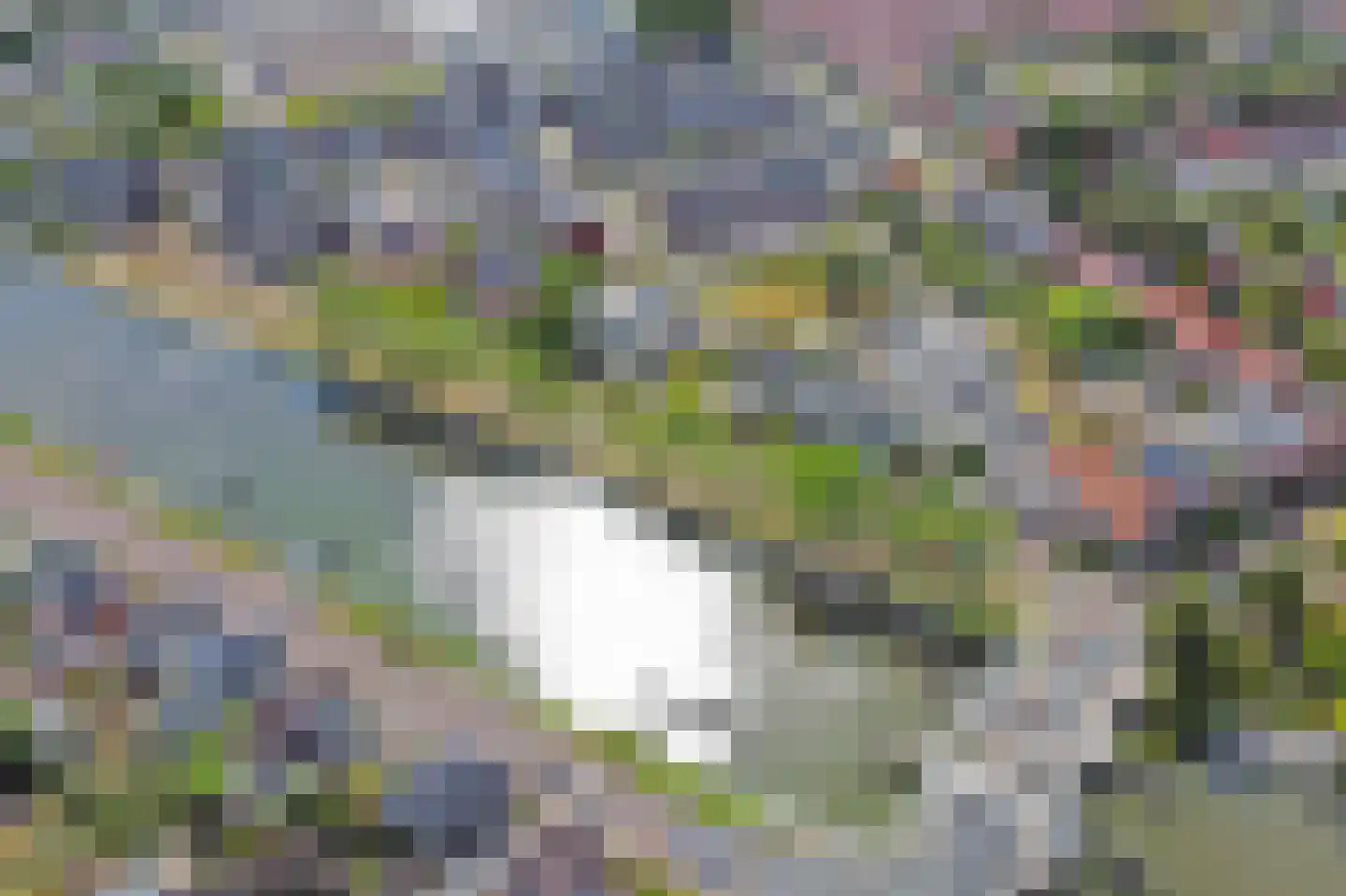 Gasstraat 15 C Lisse thumbnail 48