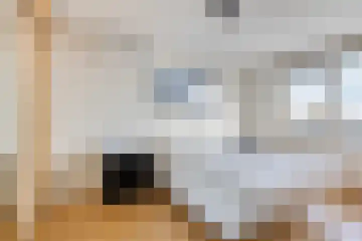 Gasstraat 21 A Oosterhout thumbnail 17