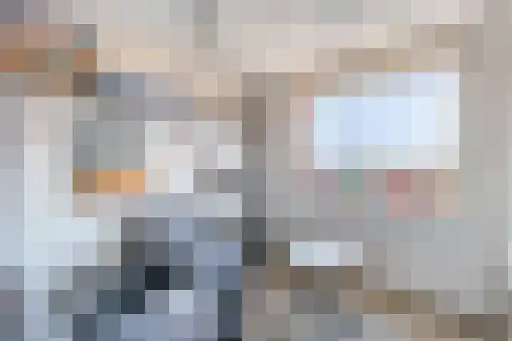 Gasstraat 21 A Oosterhout thumbnail 4