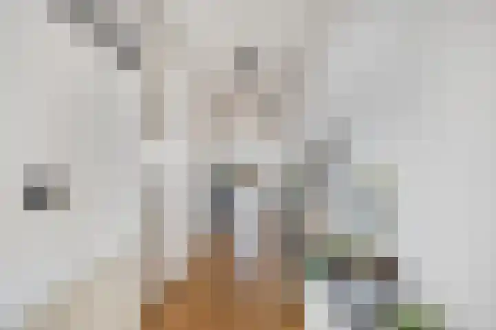 Gasstraat 21 A Oosterhout thumbnail 9