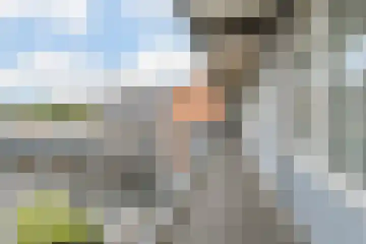 Gasstraat 23 Oosterhout thumbnail 4