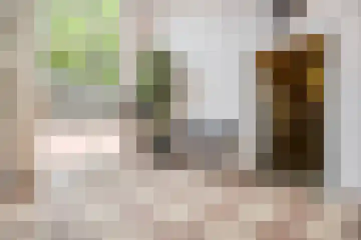 Gasstraat 3 Oosterhout thumbnail 22