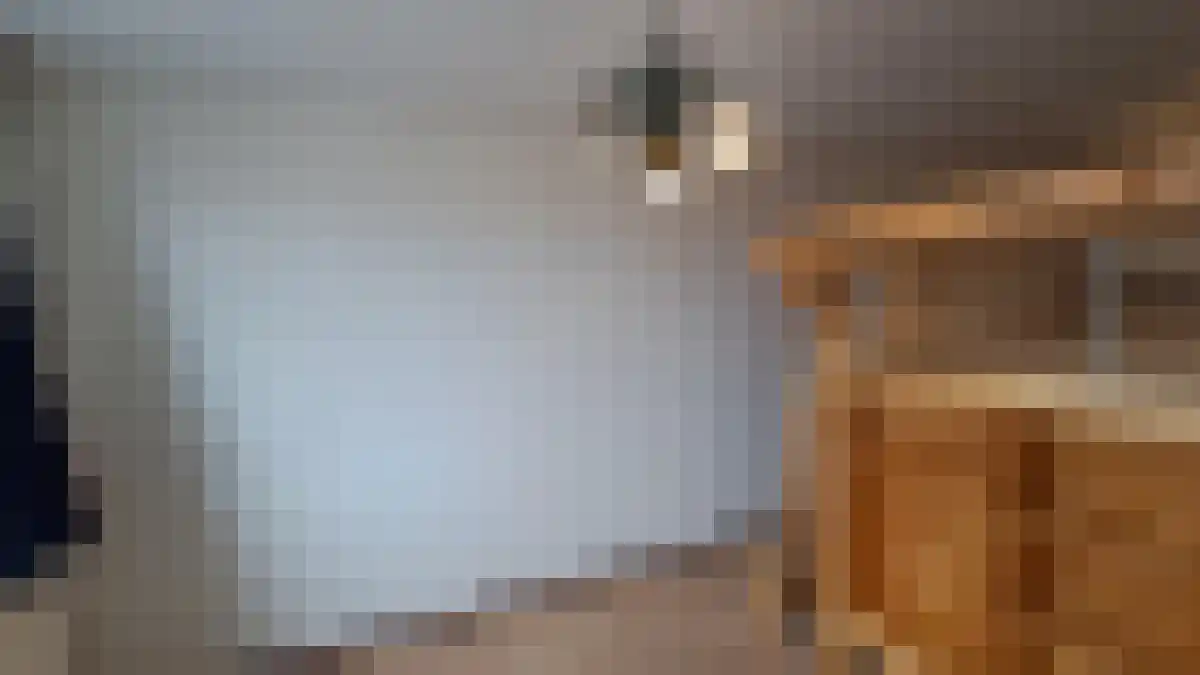 Gasstraat 4 Tilburg thumbnail 5