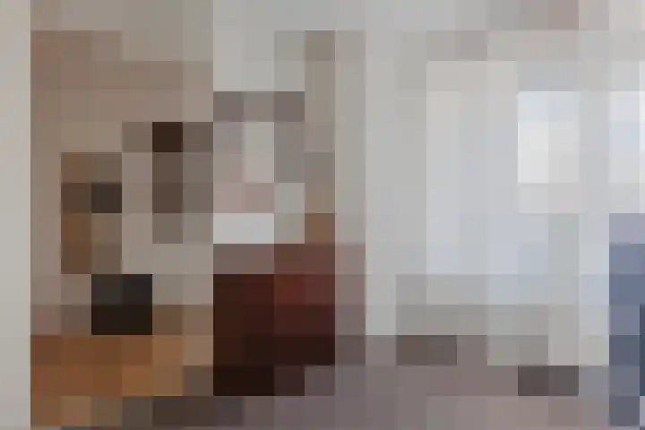 Gasstraat 9 Oosterhout thumbnail 19
