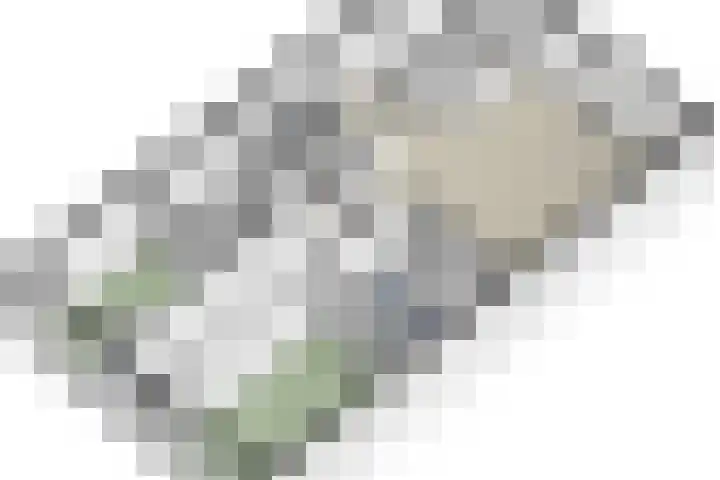 Gasstraat 9 Oosterhout thumbnail 35