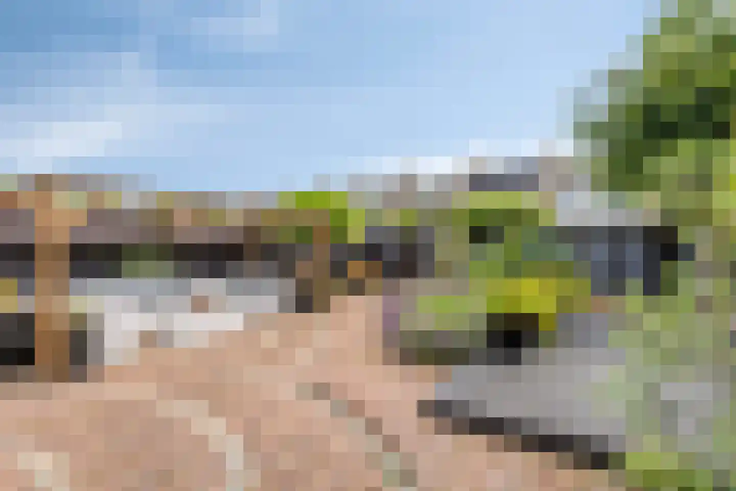 Gastakker 162 Breda thumbnail 37