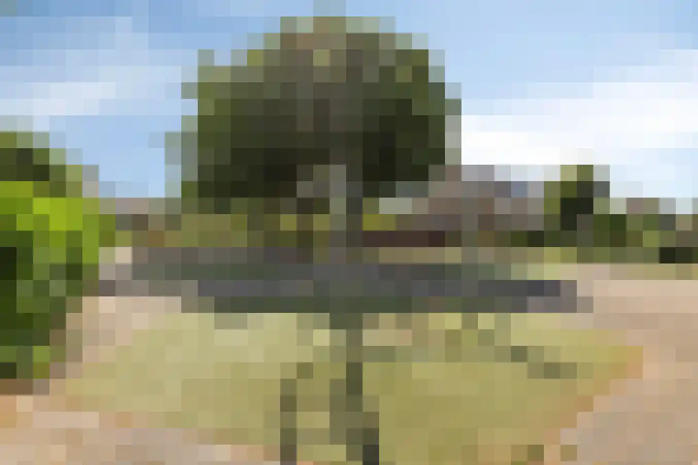 Gastakker 162 Breda thumbnail 46